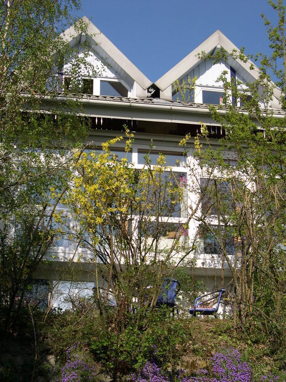 سالم Gesundheitshotel Haus Sonnenstein المظهر الخارجي الصورة